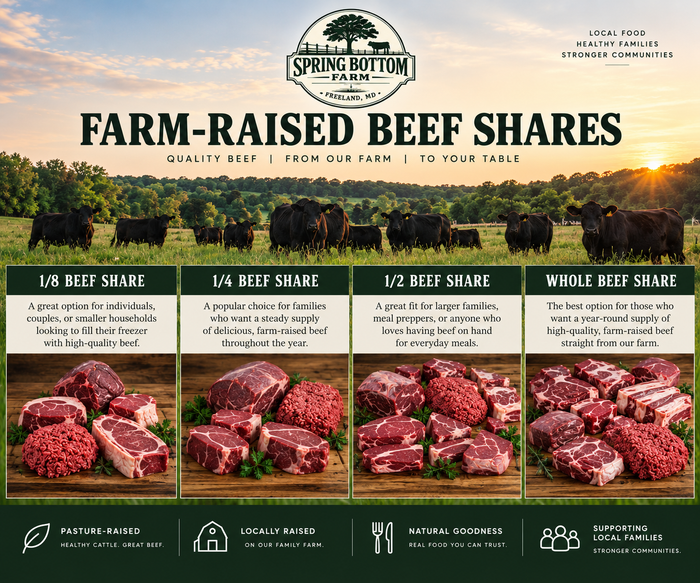 Beef Shares