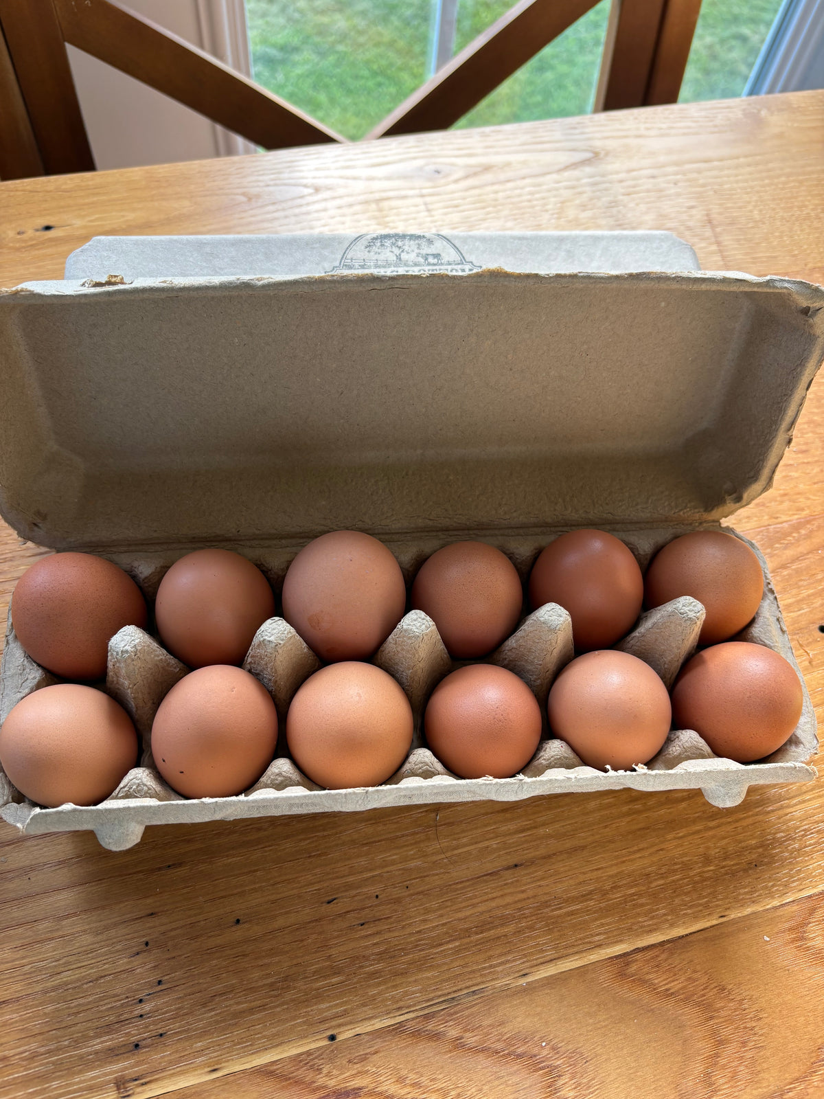 Fresh eggs packed at Spring Bottom Farm