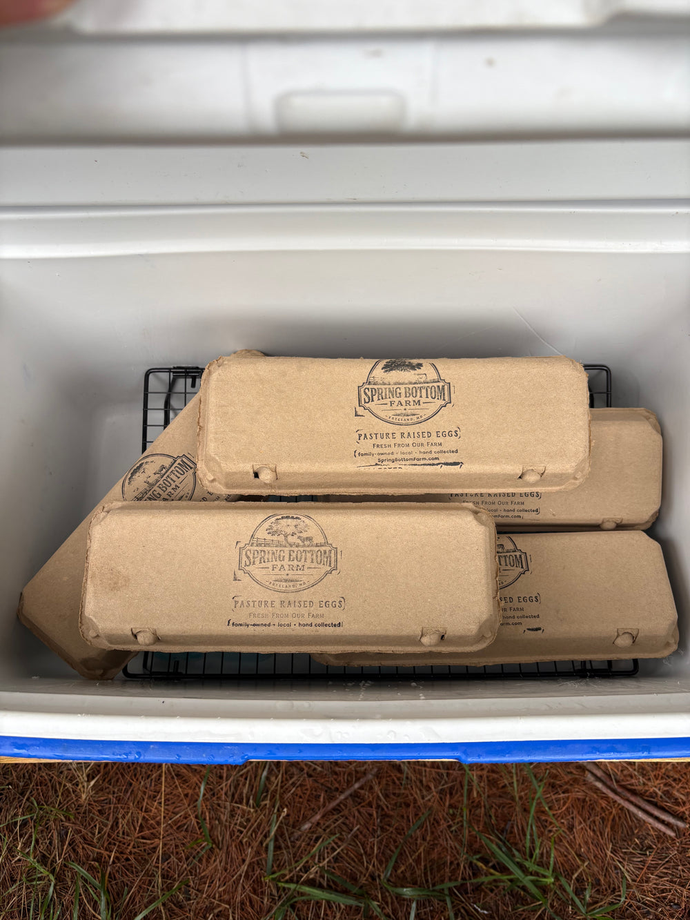 Egg cartons at Spring Bottom Farm