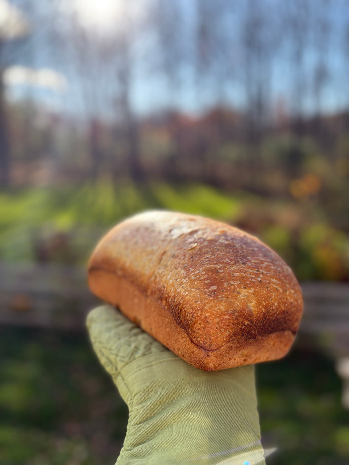 Flourish & Ferment Co. Sour Dough Traditional Sandwich Loaf