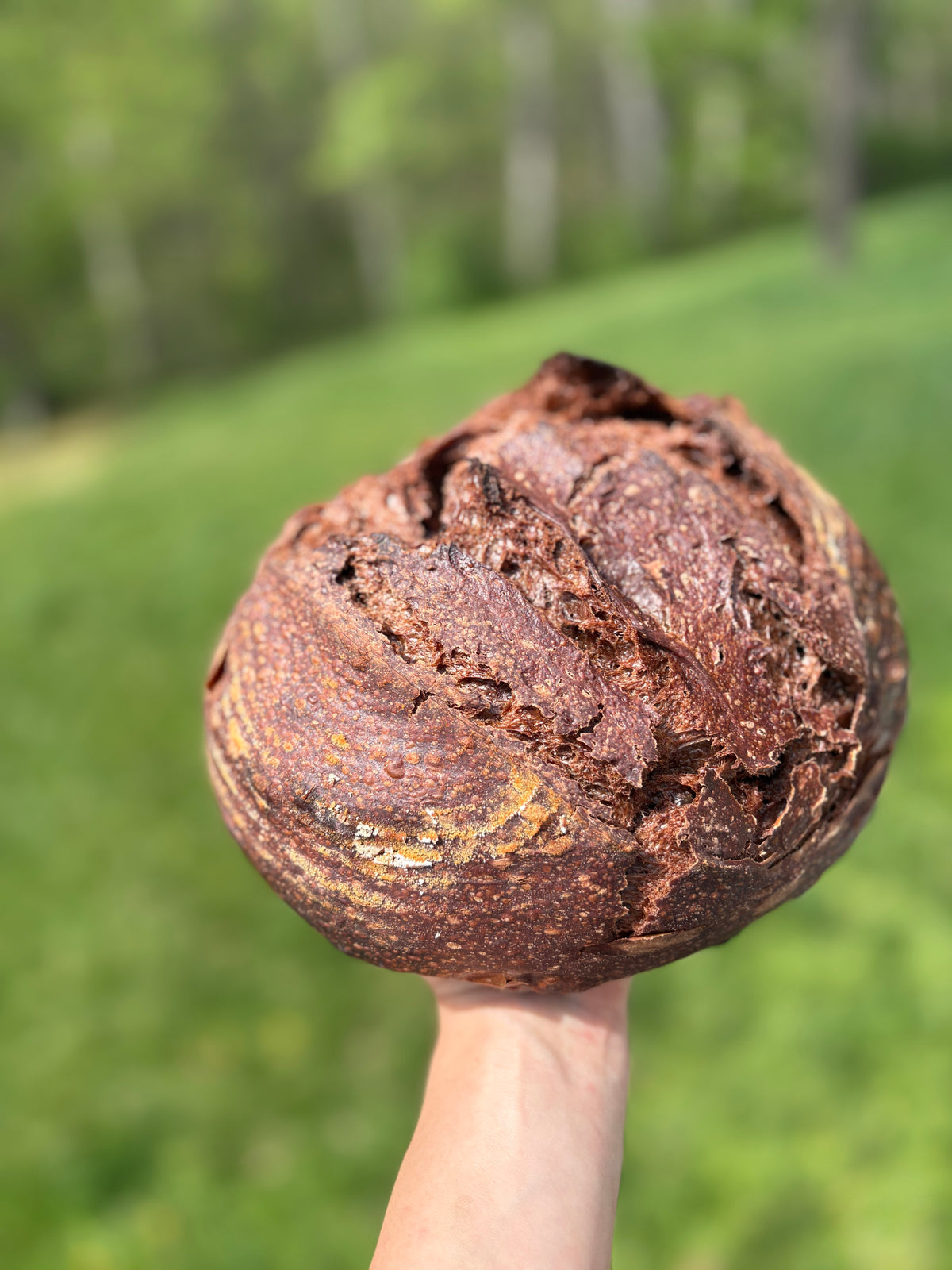 Flourish & Ferment Co. Double Chocolate Chip Loaf