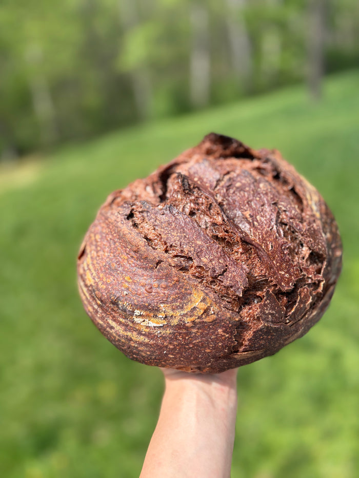 Flourish & Ferment Co. Double Chocolate Chip Loaf